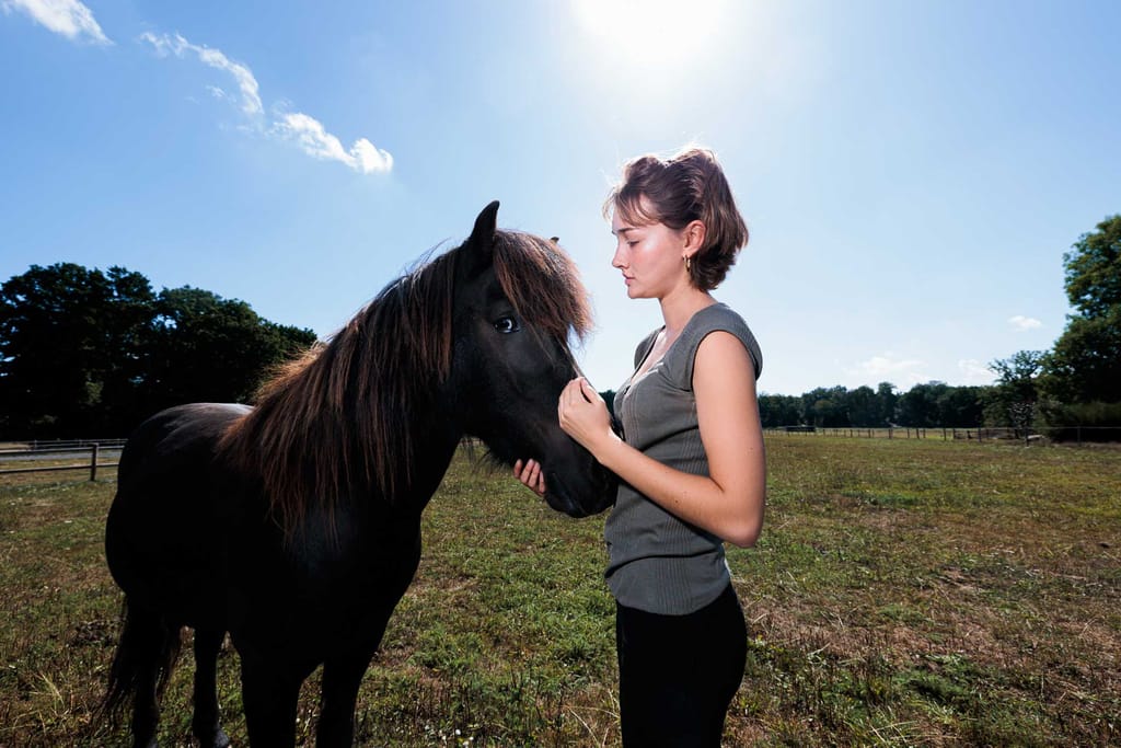Frau streichelt sanft ein schwarzes Pferd auf einem sonnigen Feld, mit Bäumen und blauem Himmel im Hintergrund.