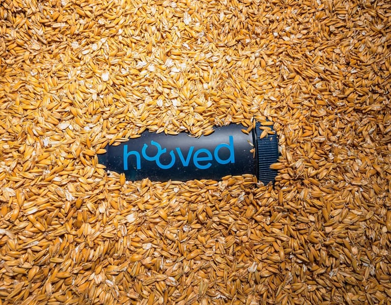 Eine schwarze Röhre mit der Aufschrift „hooved“ liegt, umgeben von einer dichten Schicht goldenen Hafers.