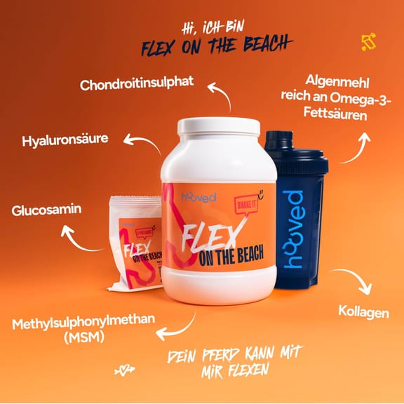 Weiße Kunststoffdose mit orangefarbenem Etikett, das den Text "FLEX ON THE BEACH" und "SHARE IT" zeigt, vor orangefarbenem Hintergrund.