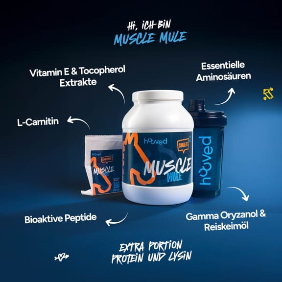 Großer weißer Behälter mit blauer Etikette, die orange und weiße Schrift zeigt "Muscle MULE" und "Shake it". Daneben eine kleinere Packung mit ähnlichem Design.
